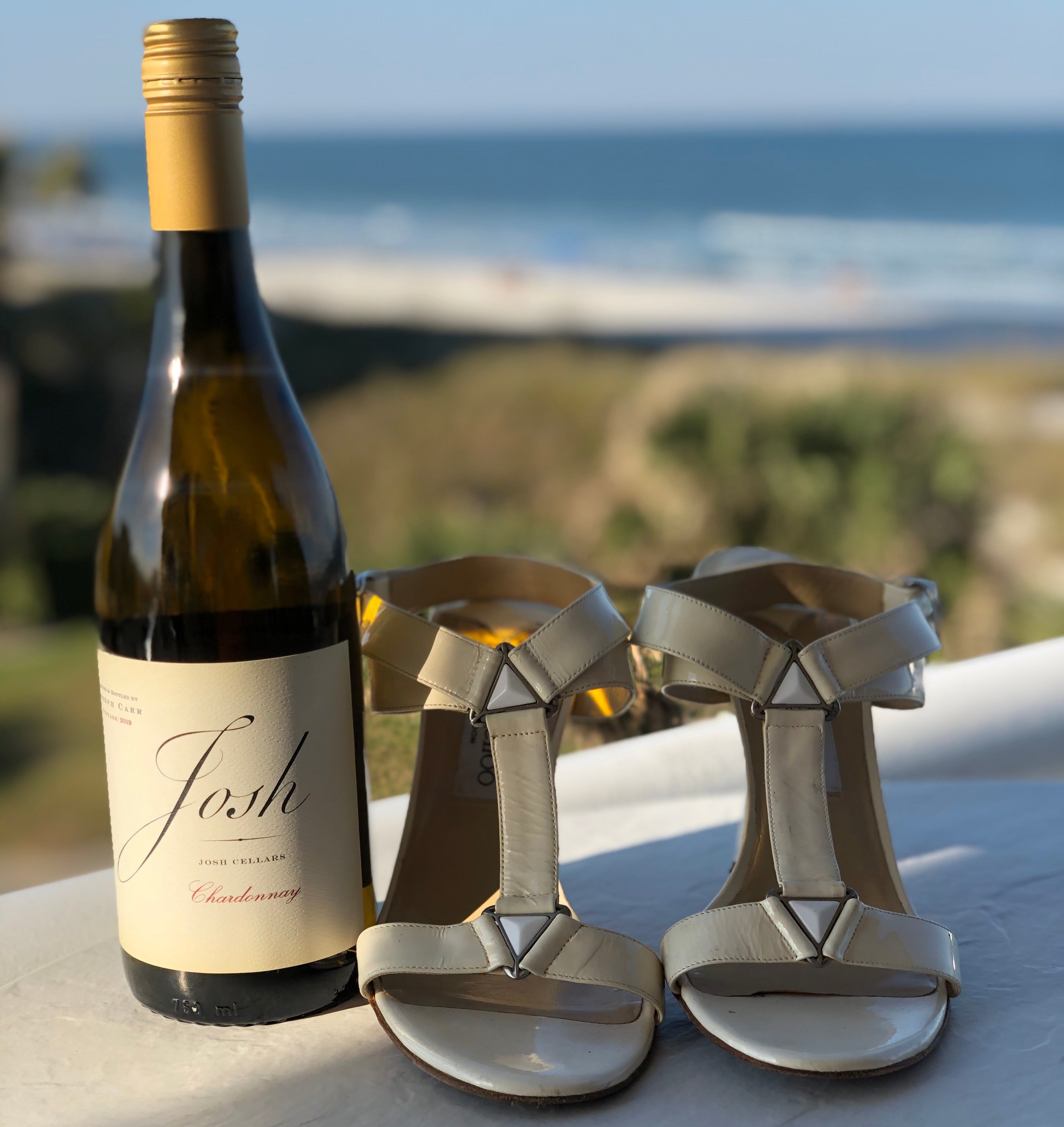 Wine IsShoes, Shoe and Wine Pairing