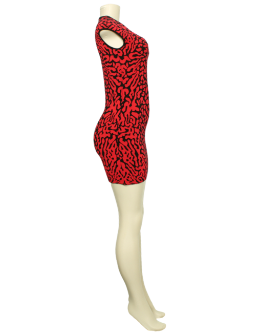 RVN Crew Neck Mini Dress Side