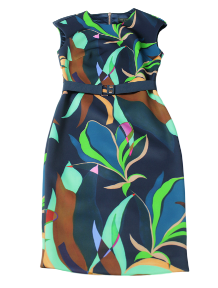 Ted baker clearance blue floral dress