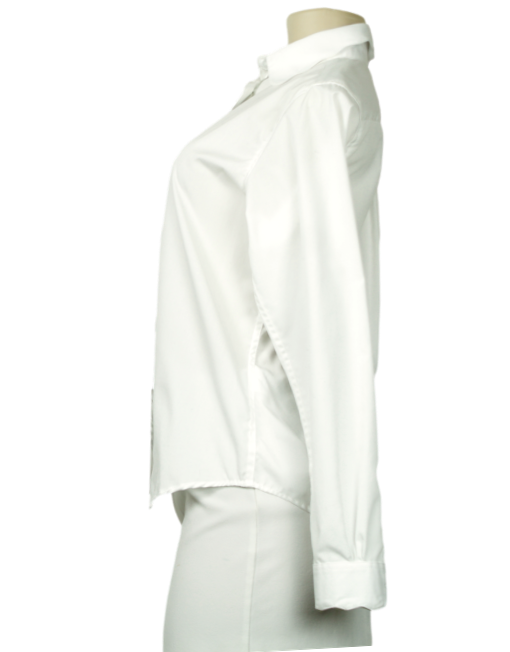 COURTLAND PARK Long Sleeve Button Down Shirt