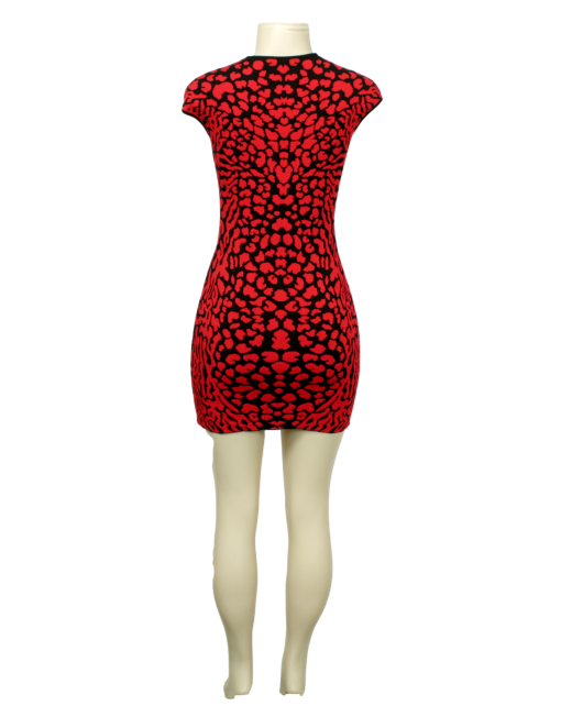RVN Crew Neck Mini Dress Back